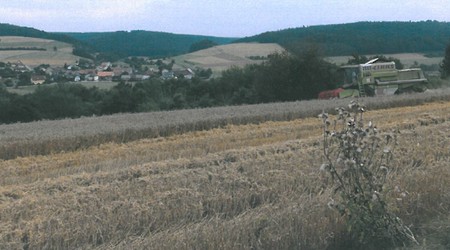 Hofladen Familie Schmidt - Ackerland